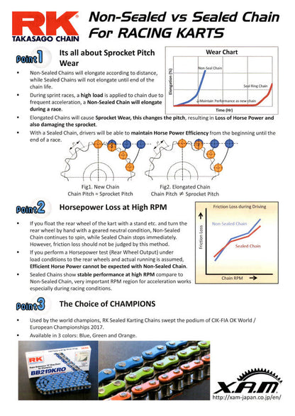219 RK Non-Sealed Chain | Primary Belt to Chain Conversion Kit | E Ride Pro 2.0